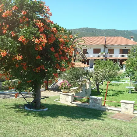 Tonia * Sarti