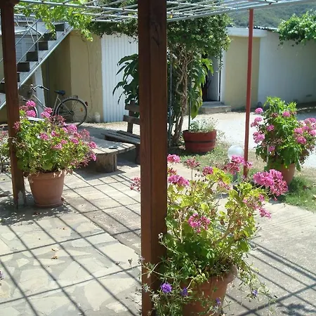 Апартаменты Tonia *