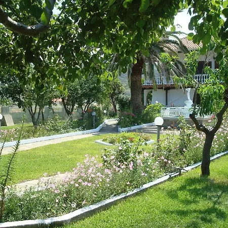Tonia Apartament *